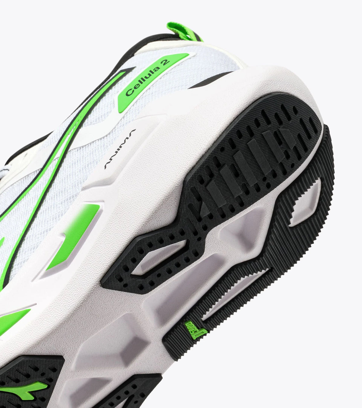 Men's Cellula 2