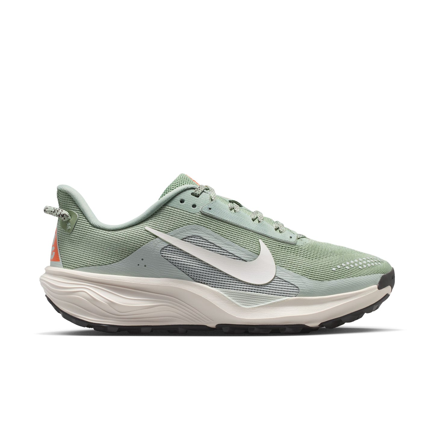 Men's ACG Pegasus Trail